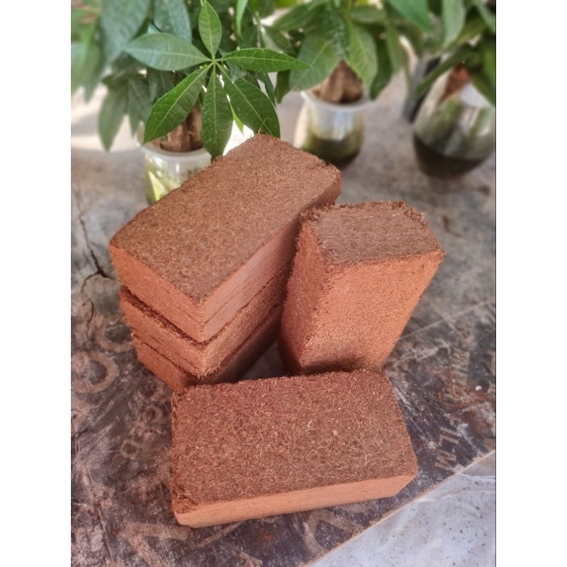 Combo 5 viên nén xơ dừa- đất nén hữu cơ 500_ 600gr