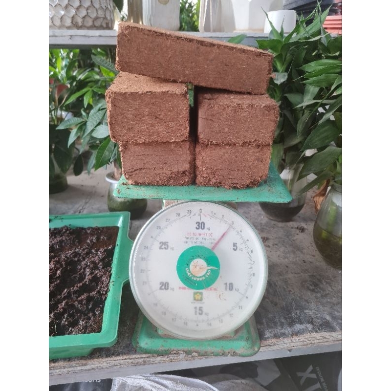 Combo 5 viên nén xơ dừa- đất nén hữu cơ 500_ 600gr