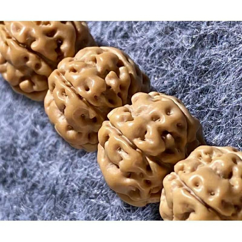 108 hạt, 54 hạt kim cang bồ đề Rudraksha Indonesia, Nepal