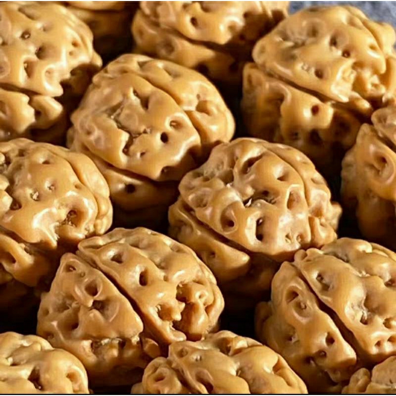 108 hạt, 54 hạt kim cang bồ đề Rudraksha Indonesia, Nepal