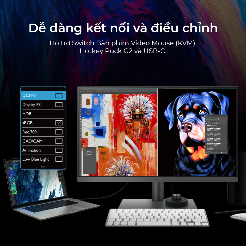 Màn hình đồ họa BenQ PD2705U 27 inch 4K UHD IPS USB C, sRGB, HDR10, Eye-are chuyên thiết kế đồ họa