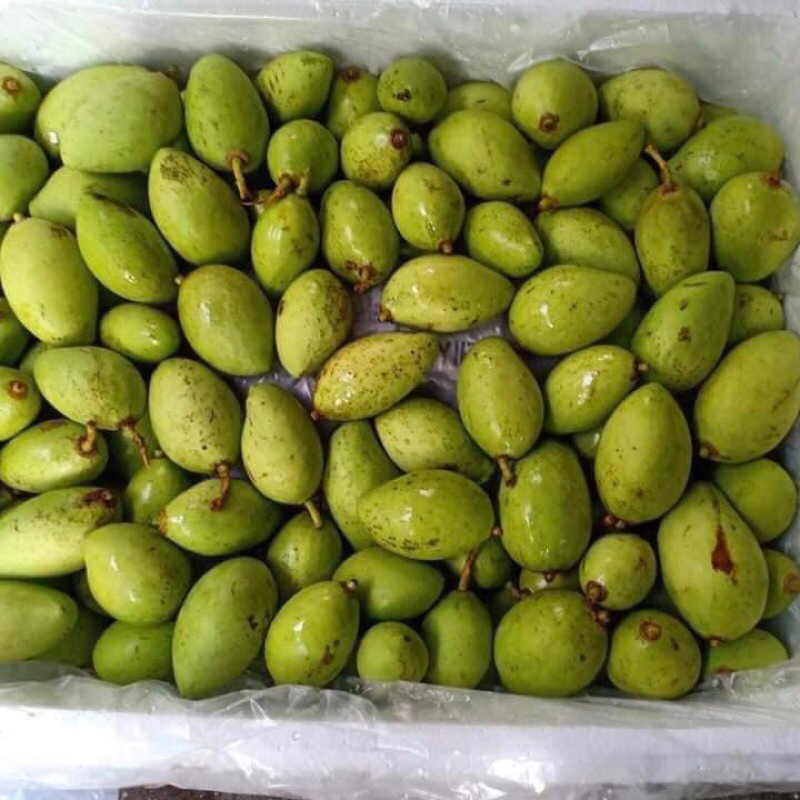 Xoài bao tử, xoài non 1kg - ship Hoả Tốc Hà Nội