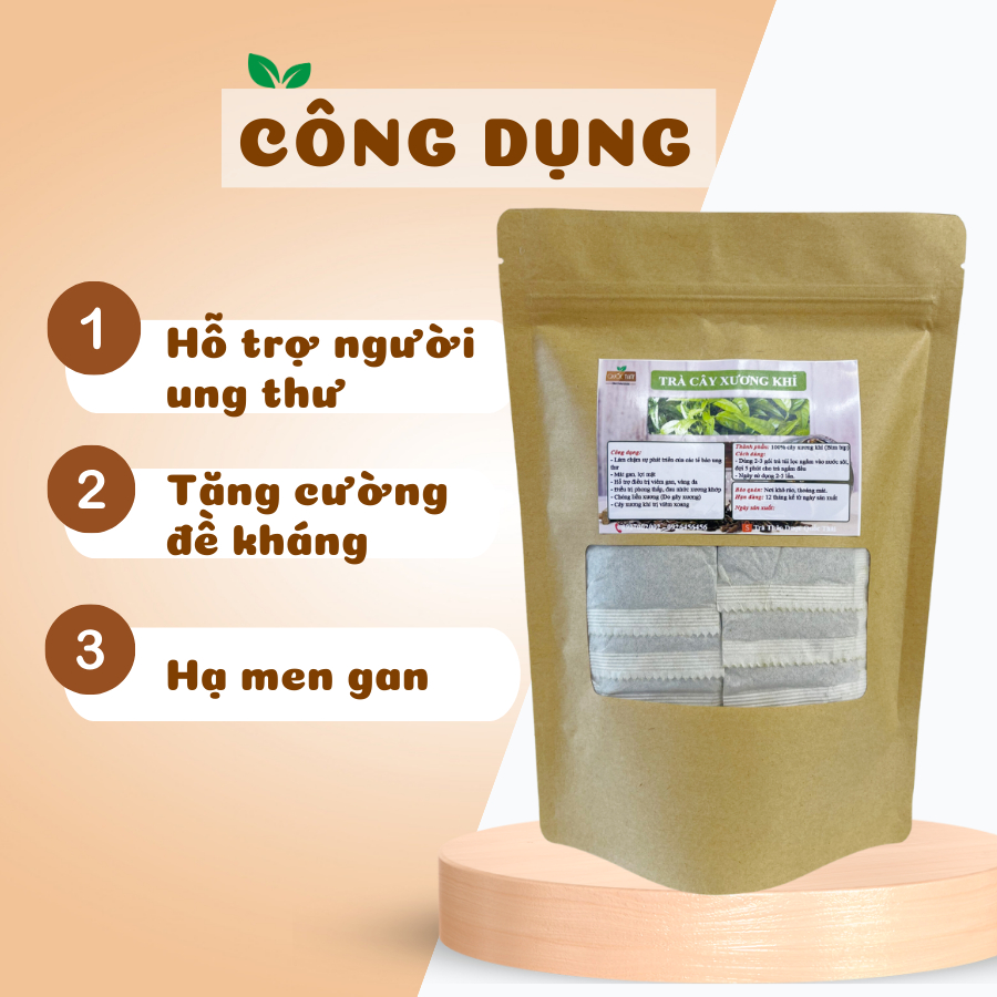 Trà Cây Xương Khỉ Túi Lọc (Bìm Bịp, Mảnh Cộng) Hỗ Trợ Người Ung Thư