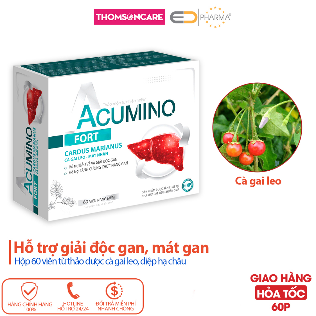 Giải độc gan Acumino Fort, hỗ trợ bảo vệ gan, mát gan, tăng cường chức năng gan từ cà gai leo - Hộp 60v Thomsoncare