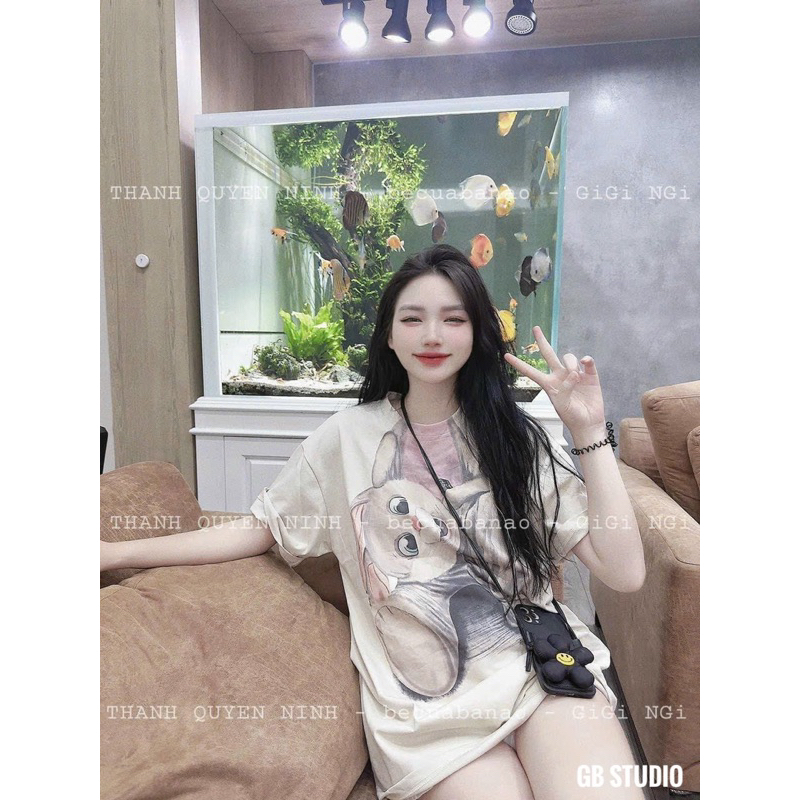 Phông thỏ hàng QCCC