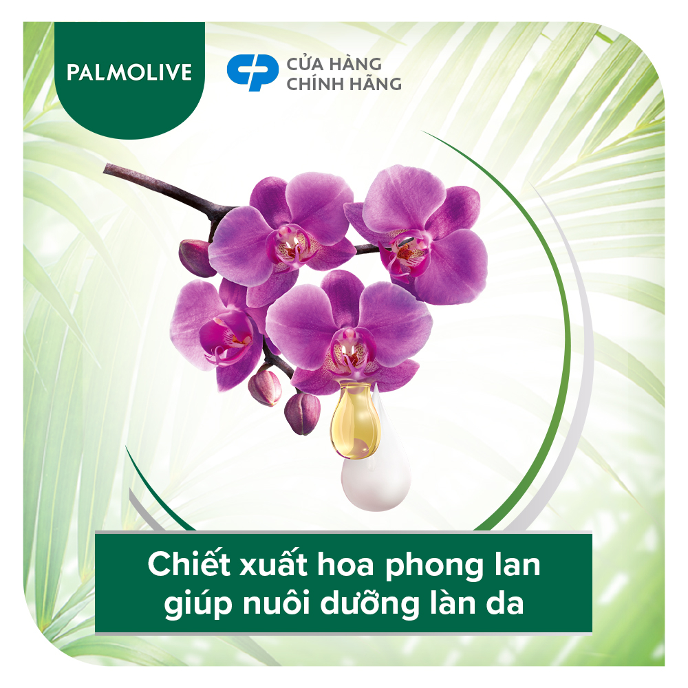 Sữa tắm Palmolive 100% chiết xuất từ hoa anh đào 500g và Dầu gội Palmolive có dầu xả sữa dừa 180ml