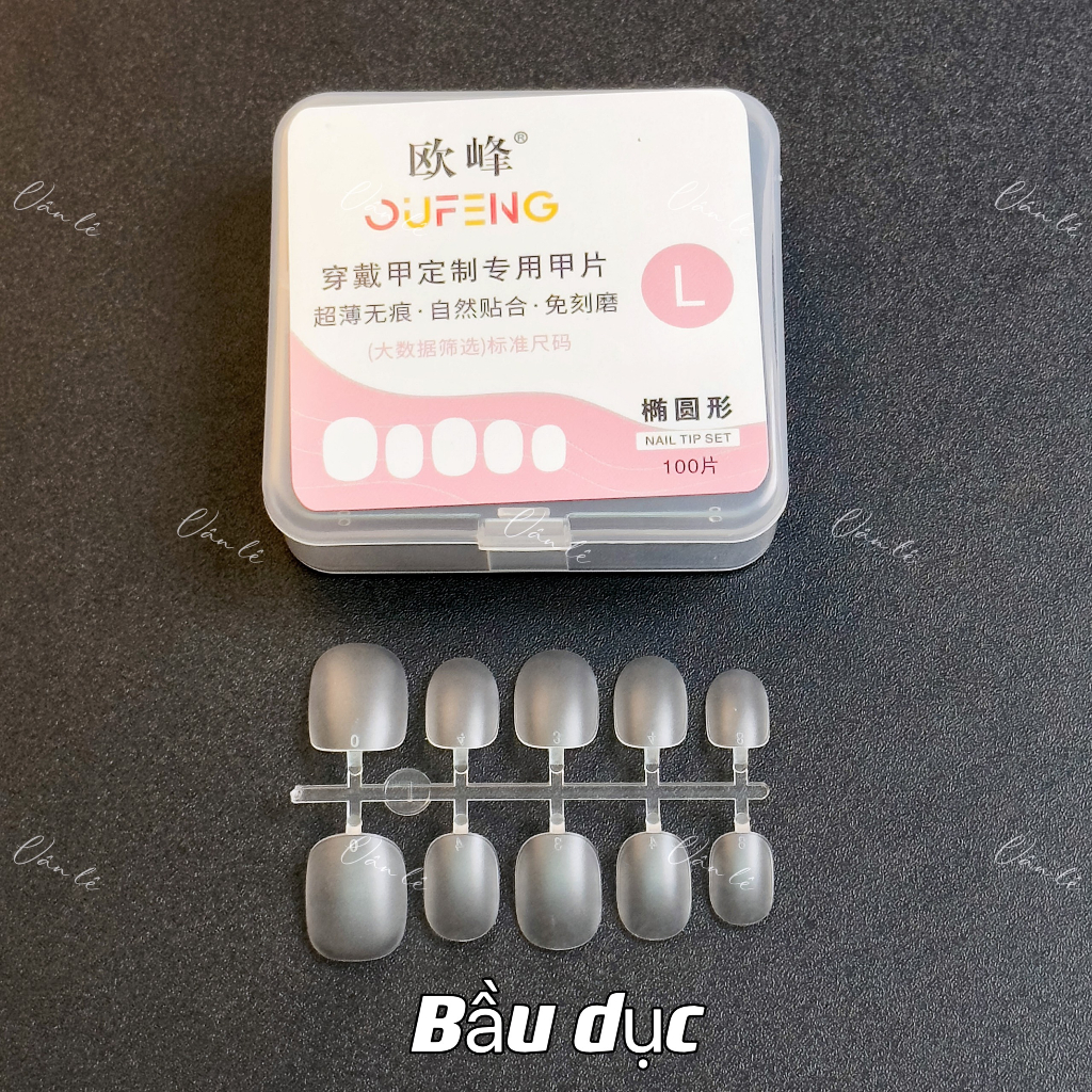 Móng úp siêu mỏng làm nailbox L M S các size