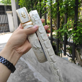 Thắt lưng cá sấu bạch tạng hàng hiếm liền nguyên tấm n21t
