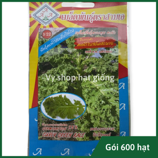 Hạt giống cải xoăn xanh Kale Curly Thái Lan gói 300 hạt
