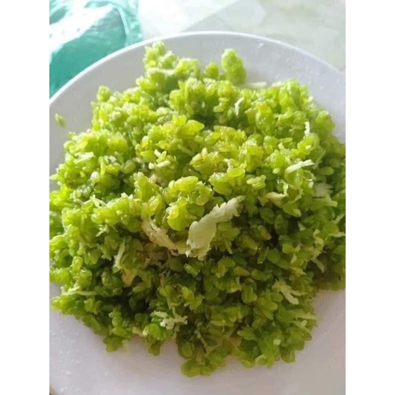 Cốm xanh Tây Bắc 1kg