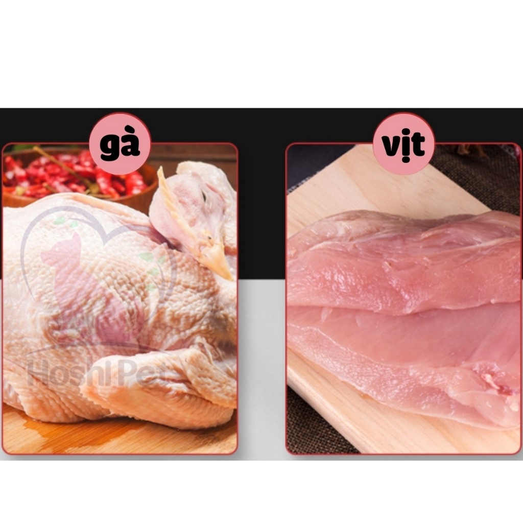 Xúc xích cho chó mèo giàu dinh dưỡng vị gà bò giá 1k Hoshi Pet, Xúc xích tươi giàu dinh dưỡng 15g