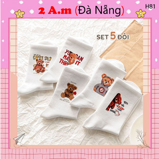 Tất vớ nữ hoạ tiết gấu teddy dễ thương-Tất vớ cotton hoạ tiết xinh xắn
