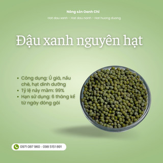 Đậu xanh ủ giá, đậu xanh nguyên hạt, đỗ xanh ngâm giá loại đẹp