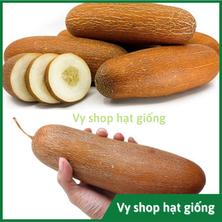 Hạt giống dưa leo đá nguyên gói 20 hạt