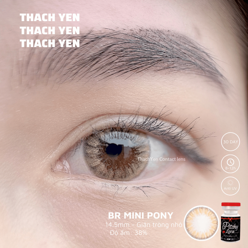 Lens Mắt Mini Pony Nâu Tây giãn nhỏ - 0-10 độ kính áp tròng