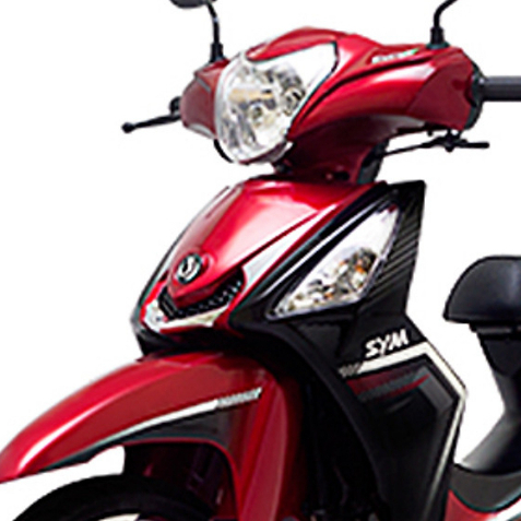 Lưới mặt nạ trước xe Elegant 100 SYM