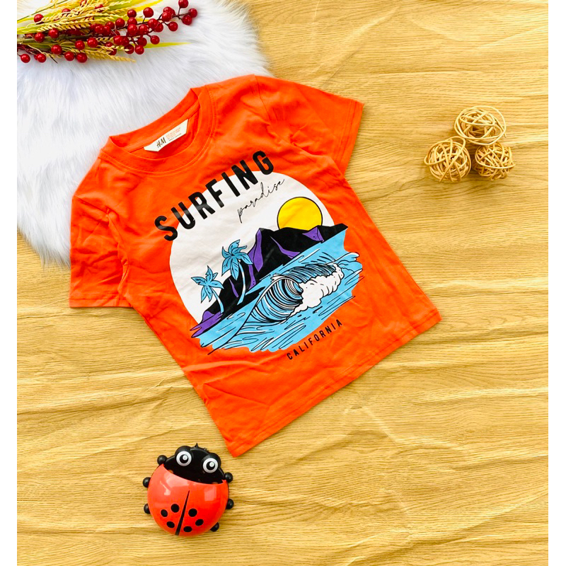 🦑 Áo cotton H&M xuất bé trai từ 17-55kg