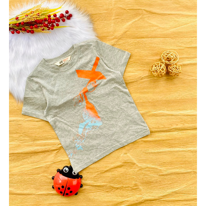 🦑 Áo cotton H&M xuất bé trai từ 17-55kg