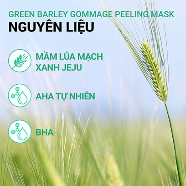 Tẩy da chết lúa mạch xanh INNISFREE Green Barley Gommage Peeling Mask 120ML
