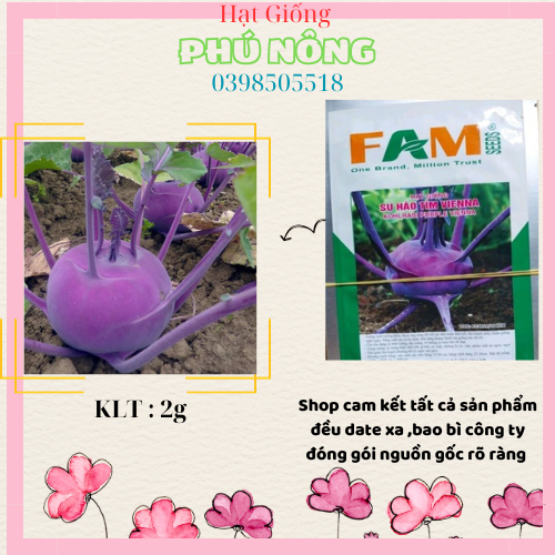 Hạt giống su hào tím Famseed 2g