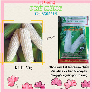 Hạt giống bắp nếp nù Cánh Đồng Xanh 50gr