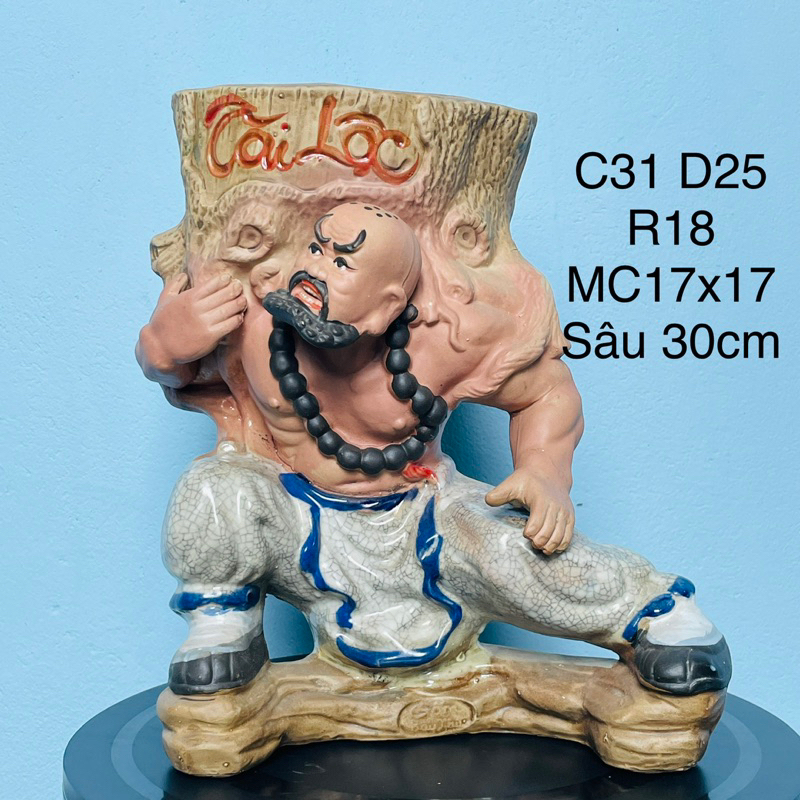 Chậu tượng lỗ chí thâm gốc cây mem rạn