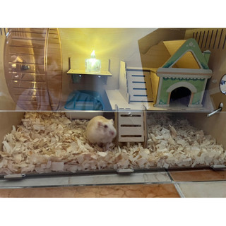 Lồng mica 2 tầng cho hamster nhỏ