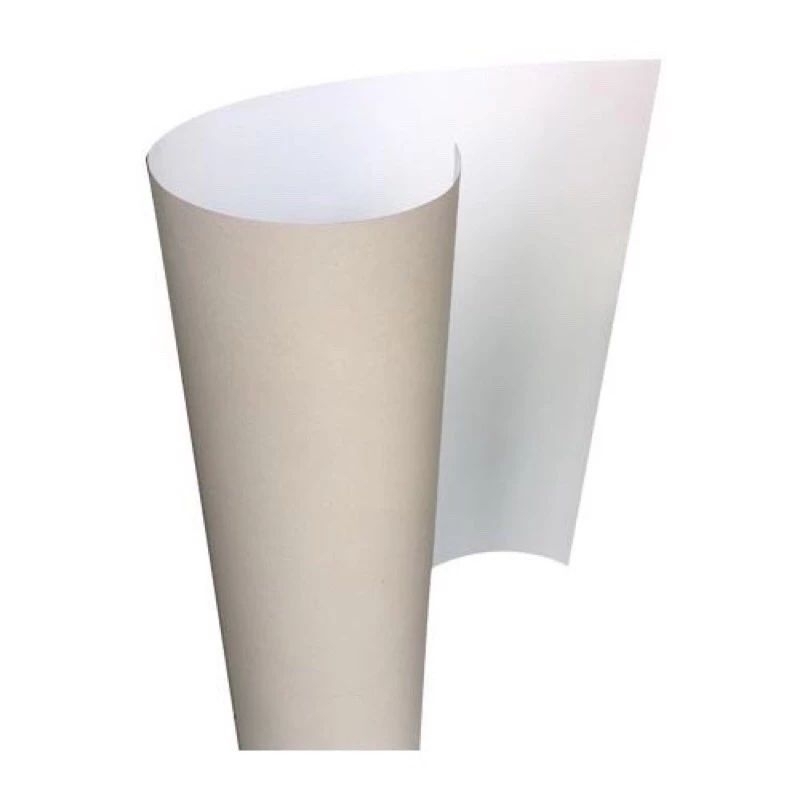 Bìa giấy Duplex khổ a0 định lượng 250grs làm báo tường,mô hình