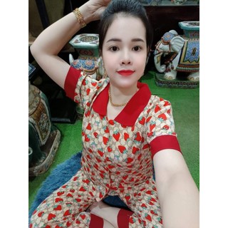 Bộ pizama áo tay cộc quần dài