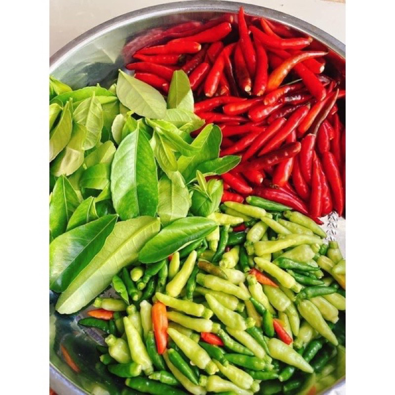 Muối chấm thần thánh 500g