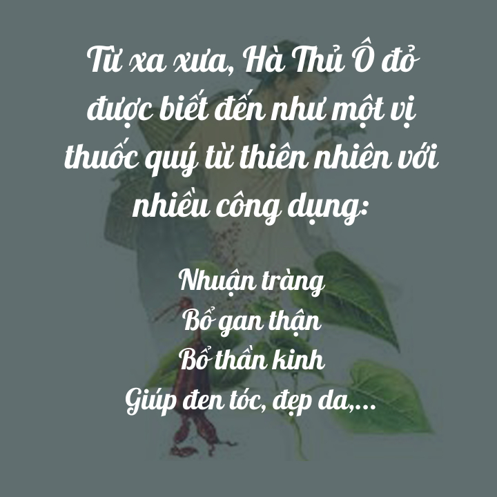 Đường Mía Hà Thủ Ô Nguyên Liệu Hoàn Từ Thiên Nhiên, Đường Nâu Tinh Luyện Giúp Đen Tóc Đẹp Da