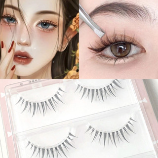 Lông mi giả gân trong, Mi Gân Trong APEX Cao Cấp Lammi Store