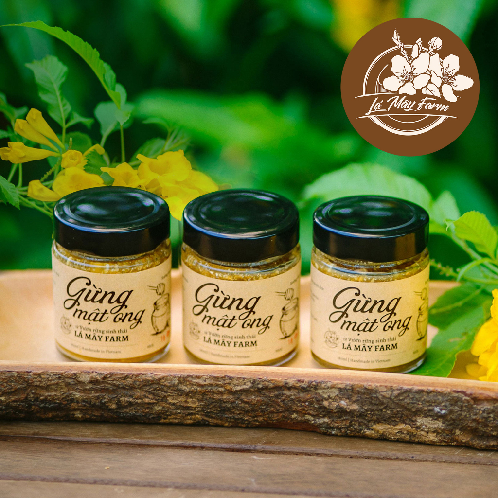 Gừng mật ong làm ấm cơ thể, giảm ho, viêm họng, tăng đề kháng, detox - Vườn rừng Lá Mây Farm