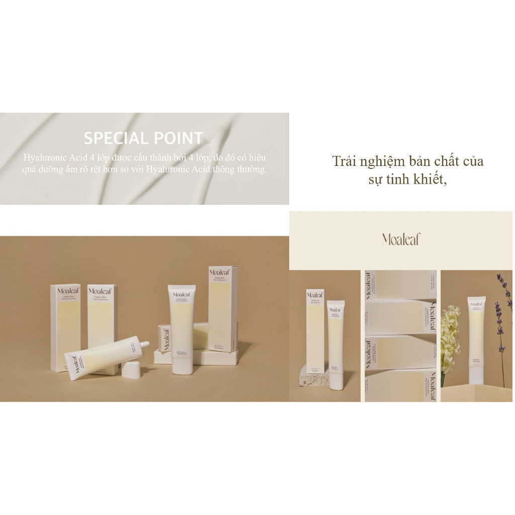 Kem Chống Nắng Nâng Tone Moaleaf - Hương Chất Group
