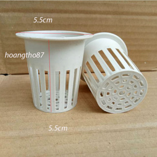 50 rọ nhựa trồng rau thủy canh 65 - 55mm, viên ném xơ dừa, dung dịch