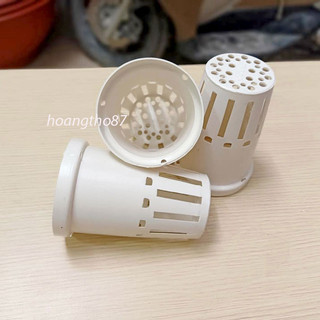 Rọ nhựa trồng thủy canh đường kính 7cm cao 10cm - màu trắng
