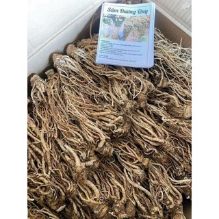 Sâm Đương Quy 100g (Củ đương quy, đương quy khô loại 1)