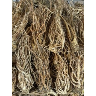 Sâm Đương Quy 100g (Củ đương quy, đương quy khô loại 1)