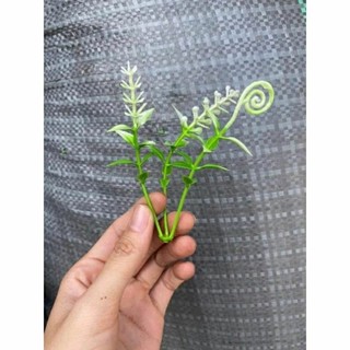 1 kg cỏ điểm các loại cỏ nhựa trang trí hoa sáp