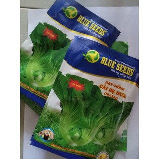 Hạt giống Cải Bẹ Dưa (Tòa xại)