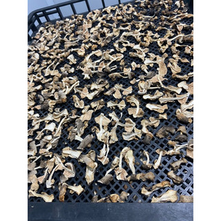 Nấm rơm sấy khô 100g