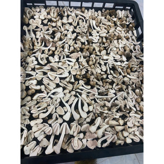 Nấm rơm sấy khô 100g