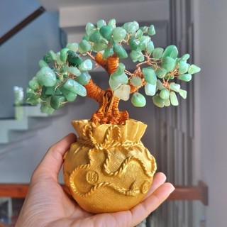 Chậu cây tài lộc đá màu xanh lá t.anh cao 17cm