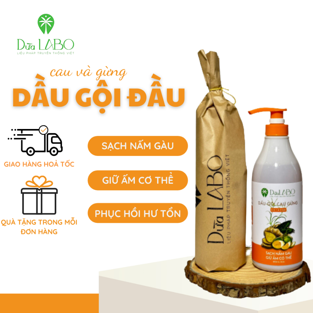Dầu Gội Cau & Gừng BIGSIZE Dừa LABO - Hàng Chính Hãng