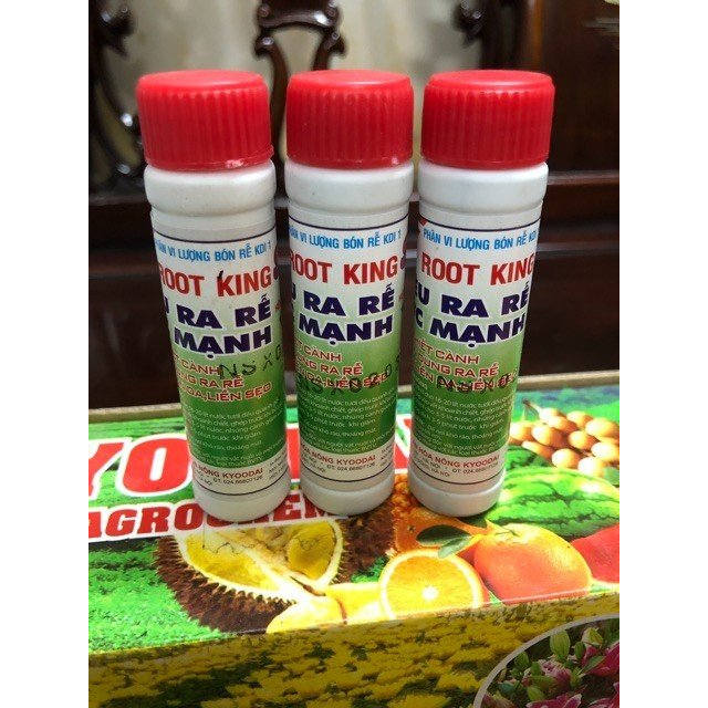 KÍCH RỄ ROOT KING CHUYÊN DÙNG CHIẾT, GIÂM, TƯỚI CÂY
