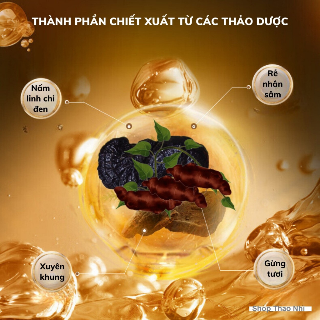 Dầu gội phủ bạc thảo dược Linh Chi, phủ đen mái tóc nuôi dưỡng tóc đen khỏe bóng mượt 300g