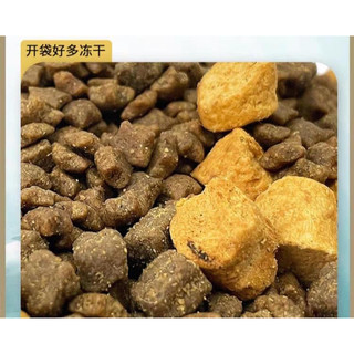 Hạt cao cấp TEB H mix thịt sấy cho mèo