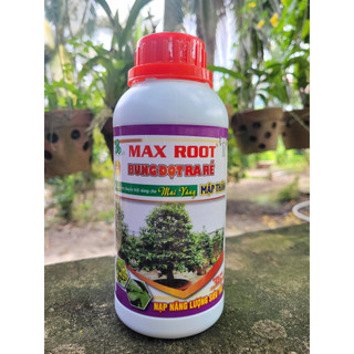 Phân bón lá bung đọt ra rễ mai vàng giúp kích rễ, tượt mạnh chai 500ml