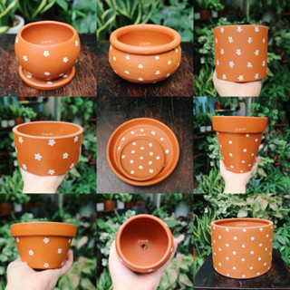 [CHẬU VẼ] Chậu thủ công vẽ hoa/ chậu đất nung trồng củ bình vôi thái/ chậu trồng bình vôi trang tr