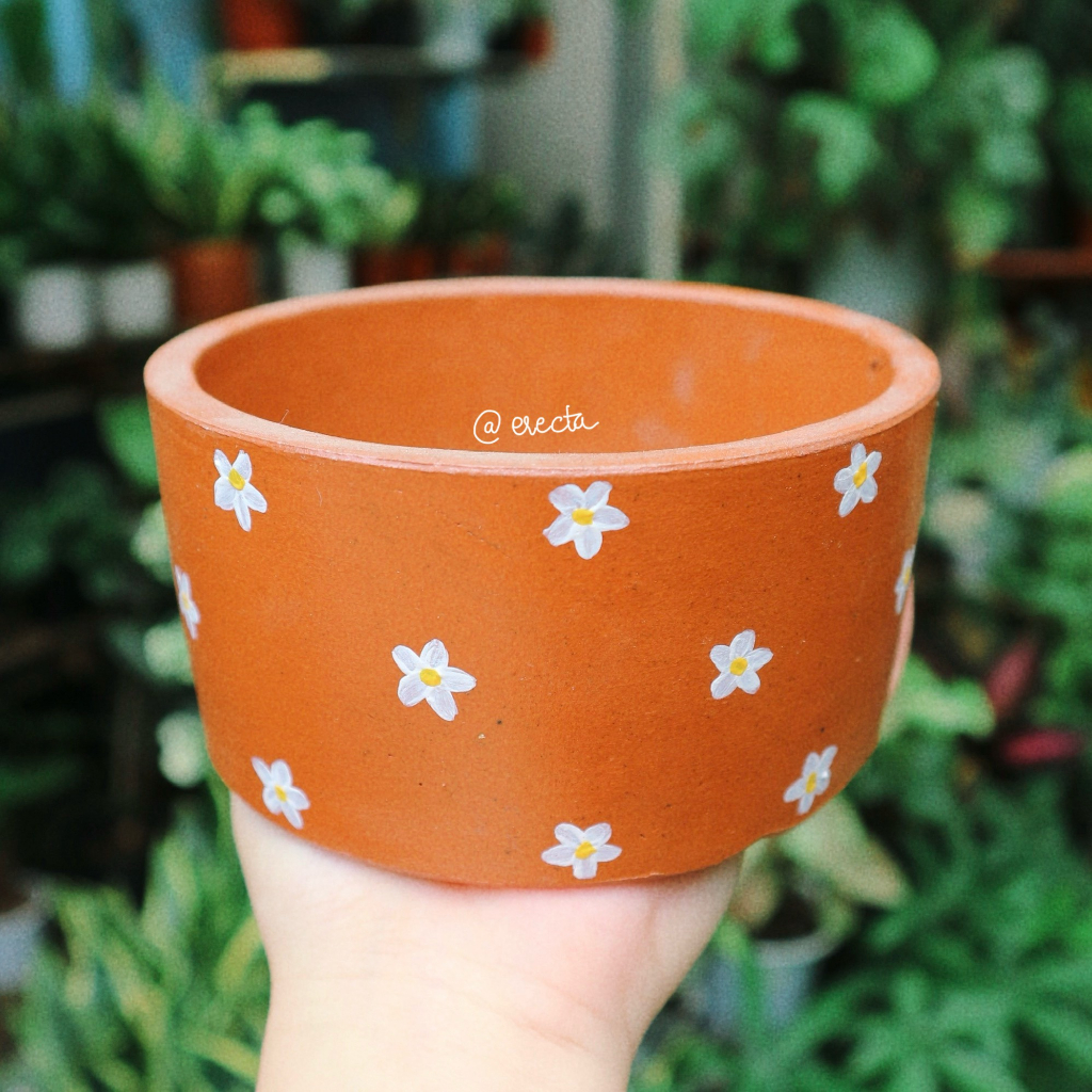 Chậu thủ công vẽ hoa/ chậu đất nung trồng củ bình vôi thái/ chậu trồng bình vôi trang trí